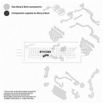 Шлангопровід BORG & BECK BTH1389