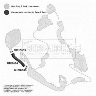 Шлангопровід BORG & BECK BTH1424