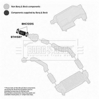 Шлангопровід BORG & BECK BTH1587