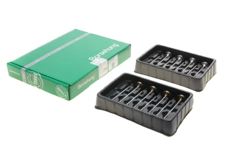 Клапан впускний (к-кт 8*8) Borsehung B18629