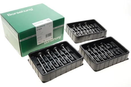 Клапан впускной (к-кт 12*8) Borsehung B18636