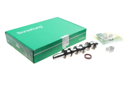 Распредвал (OE) Borsehung B18665