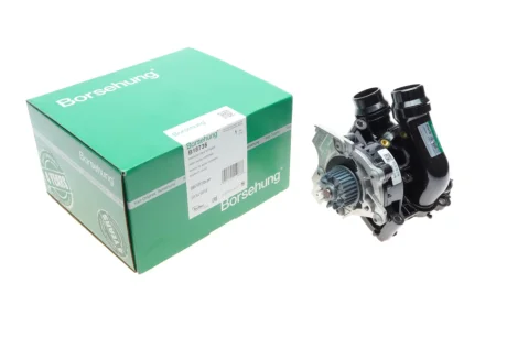 Помпа з термостатом (відсутній датчик температури) Borsehung B18736