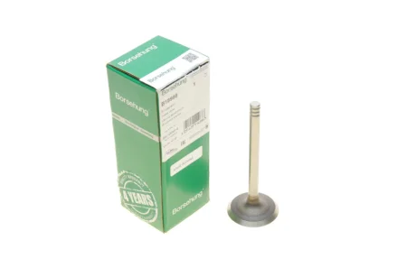 Впускний клапан Borsehung B18998