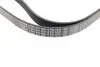 Ремінь П-клиновий 6PK1670 FORD Transit 2,2TDCi RENAULT BOSCH 1 987 947 568 (фото 2)