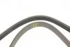 Ремінь П-клиновий 4PK1015 MAZDA 323 1,8 NISSAN Sunny 1,6 FORD Scorpio 95-98 DAIHATSU 1,3 BOSCH 1 987 947 860 (фото 4)