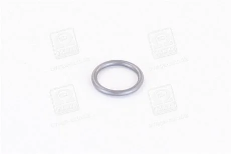 Ущільнювальне кільце BOSCH 3430210603 (фото 1)