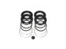 Ремкомплект гальмівного супорта  LEXUS GX (_J12_) 01-09;MITSUBISHI PAJERO IV (V8_W, V9_W) 07-;TOYOTA 4RUNNER 204534