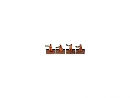 Щетки стартера CARGO Bsx1974