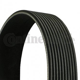 V-Ribbed Belt CONTINENTAL CTAM Contitech 10PK1526