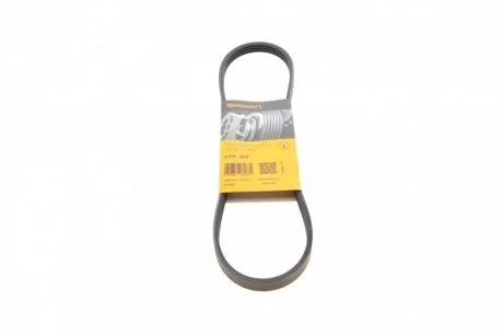 Ремінь генератора поліклиновий CONTINENTAL Contitech 4PK800