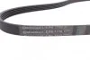 Ремень поликлиновой Conti Contitech 5PK1110 (фото 3)