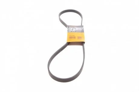 Фото ремінь генератора поліклиновий CONTINENTAL Contitech 5PK1240 Ремінь генератора поліклиновий CONTINENTAL Contitech 5PK1240