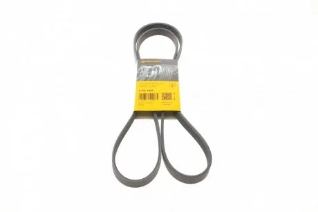 Ремень поликлиновой Conti Contitech 5PK1800