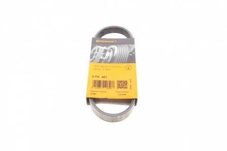 Ремінь генератора поліклиновий CONTINENTAL Contitech 5PK491