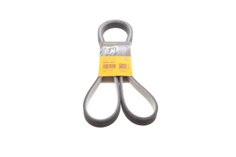Ремень поликлиновой Conti Contitech 6DPK1697