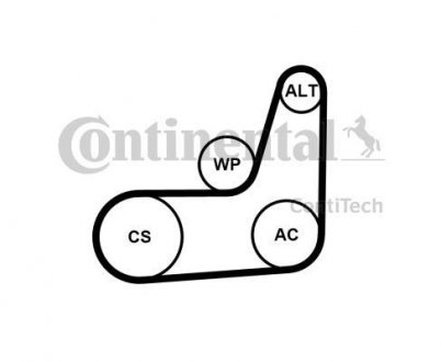 Ремінний комплект Contitech 6PK1019ELASTT2