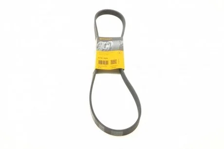Поклиновий ремень Contitech 6PK1095