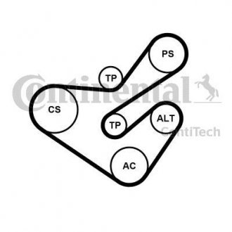 ZESTAW PASKA PK /CONTI/ Contitech 6PK1733K5