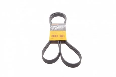 Фото ремінь поліклиновий Citroen Berlingo / Jumpy / Peugeot Expert / Partner 1.9 / 2.0 D / HDi 98-15 / VW LT / T4 2.5 TDI 95-06 Contitech 6PK1750 Ремінь поліклиновий Citroen Berlingo / Jumpy / Peugeot Expert / Partner 1.9 / 2.0 D / HDi 98-15 / VW LT / T4 2.5 TDI 95-06 Contitech 6PK1750