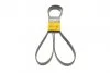 Ремінь генератора поліклиновий CONTINENTAL 6PK2260 6PK2260