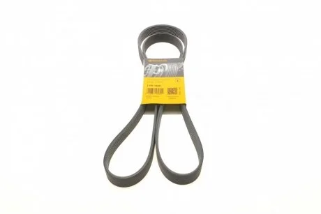 Ремень поликлиновой Conti Contitech 7PK1855