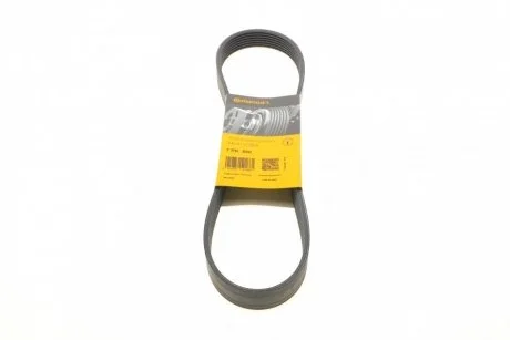 Ручейковый ремень Contitech 7PK880