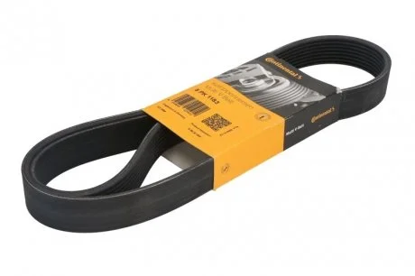 Фото 1 - доріжковий пас Contitech 8PK1183 Доріжковий пас Contitech 8PK1183 (фото 1)