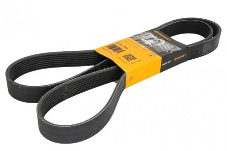 Поліклиновий ремінь DAF CF 75 PE183C-PR265S 01.01-05.13 Contitech 8PK1770