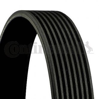 V-Ribbed Belt CTAM Contitech 8PK2115 (фото 1)