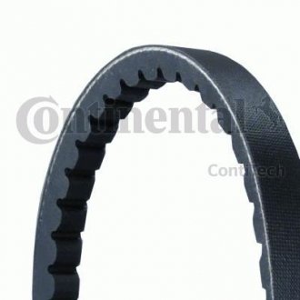 Belt CONTINENTAL CTAM Contitech AVX13X1460