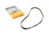Пас ГРМ VW Passat 2.0/2.2 83-88/Audi 80/90/100 1.9 CT660