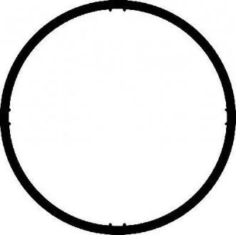 Прокладання впускного колектора CORTECO 026238H