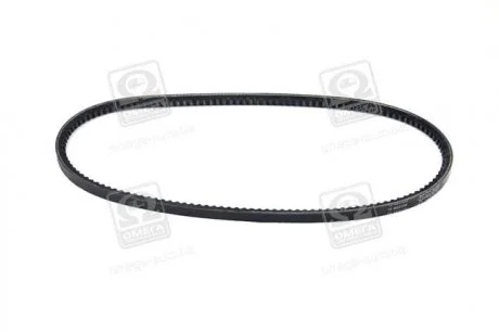 Пасок клиновидний 10X865 DAYCO 10A0865C