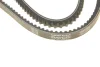 Ремінь 13X1250 FORD MAN DB NISSAN SAAB 2,0 VW T2 TOYOTA DAYCO 13A1250C (фото 5)