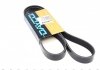 Ремень 6PK1267 (усиленный!!!) DAYCO 6PK1267HD (фото 1)