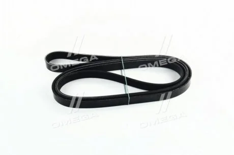 Фото ремінь приводний DAYCO 6PK2581 Ремінь приводний DAYCO 6PK2581