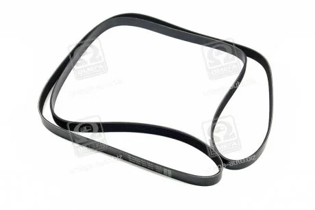 Ремень поликлиновый DAYCO 6PK2605