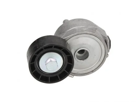 Фото натягувач поліклинового ременя DS DS 3, CITROEN BERLINGO, BERLINGO MULTISPACE, BERLINGO/MINIVAN, C4, C4 I, XSARA PICASSO, PEUGEOT 206, PARTNER, PARTNER ORIGIN 1.2-1.6LPG 09.98- DAYCO APV2556 Натягувач поліклинового ременя DS DS 3, CITROEN BERLINGO, BERLINGO MULTISPACE, BERLINGO/MINIVAN, C4, C4 I, XSARA PICASSO, PEUGEOT 206, PARTNER, PARTNER ORIGIN 1.2-1.6LPG 09.98- DAYCO APV2556