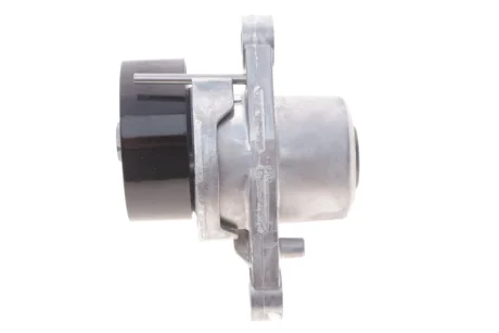 Натяжник ременя генератора DAYCO APV3861