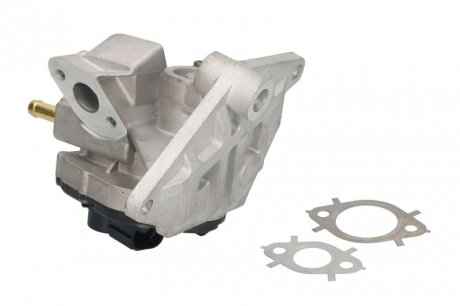 ZAWOR EGR AUDI A3 2.0FSI 03- Delphi EG1042412B1