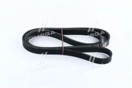 Ремінь поліклиновий Dongil 6PK1800