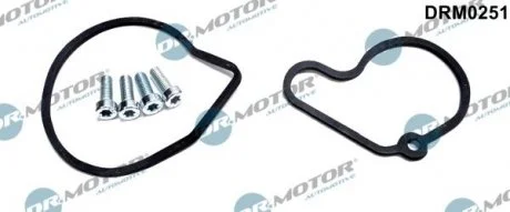 Ремкомплект вакуумної помпи з болтами Dr.Motor DRM0251