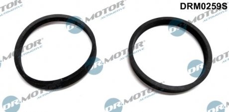 К-т прокладок впускного колектора Dr.Motor DRM0259S