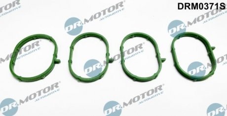 КОЛЬЦО УПЛОТНИТЕЛЬНОЕ SS. FORD FOCUS 1,4 10- 4SZT. Dr.Motor DRM0371S (фото 1)