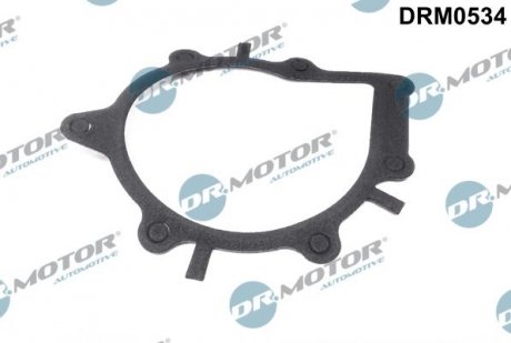 USZCZELKA POMPY WODY FORD FOCUS 2,0TDCI 09- DR MOTOR Dr.Motor DRM0534