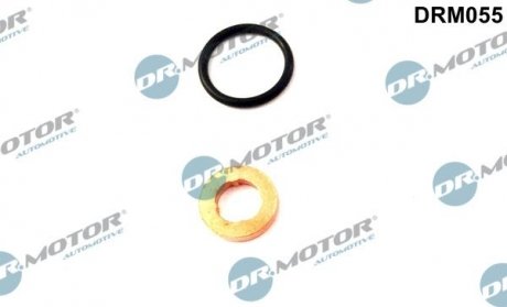 Ремкомплект форсунки VW PASSAT 2,5TDI Dr.Motor DRM055 (фото 1)