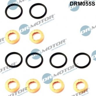 Ремкомплект форсунки Dr.Motor DRM055S