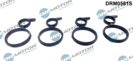 Прокладка корпус форсунки 4шт Dr.Motor DRM0581S