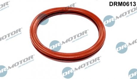 Ущільнююче кільце Dr.Motor DRM0613